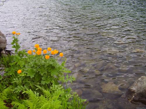 Фото огоньки на ивановском озере