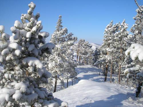Фото Зимний рай