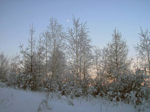 Фото Зимний рассвет