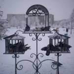 В зимнем парке Преображенский Абакан фото