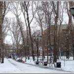 Аллея Пушкинского парка
