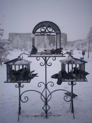 Фото В зимнем парке Преображенский